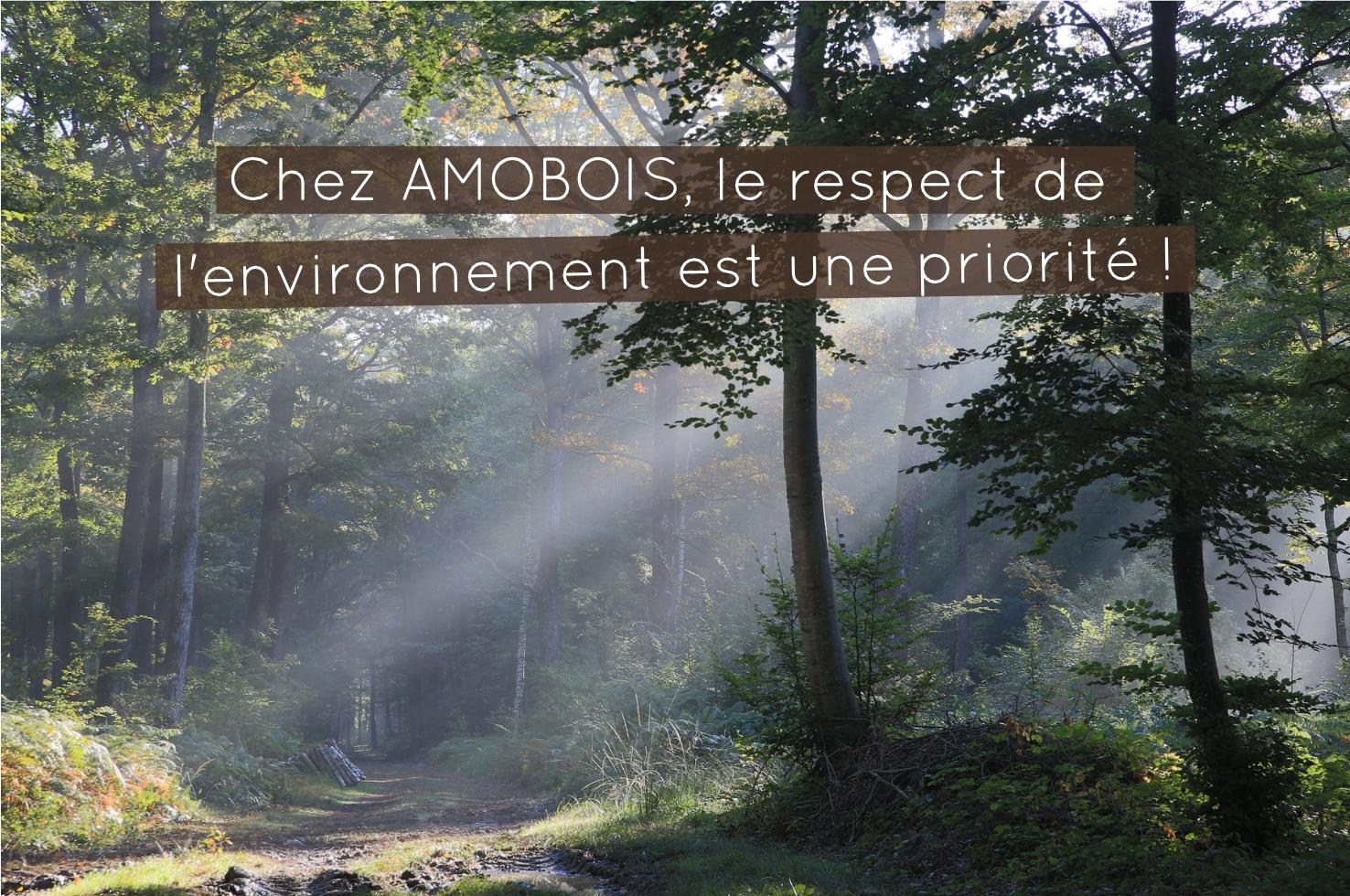 Chez AMOBOIS le respect de l'environnement est notre priorité ! Ainsi le bois naturel est à l'honneur ainsi que la fabrication locale pour réduire l'empreinte carbone liée au transport
